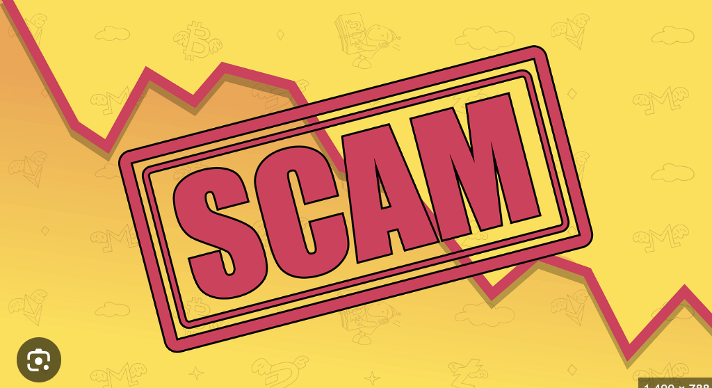 PinnacleCapPartners.com Under Scrutiny